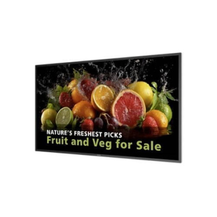 Philips 5000 Series Public Display LED 49.5" <span style="color: white; visibility:visible;">8721038102260</span>
